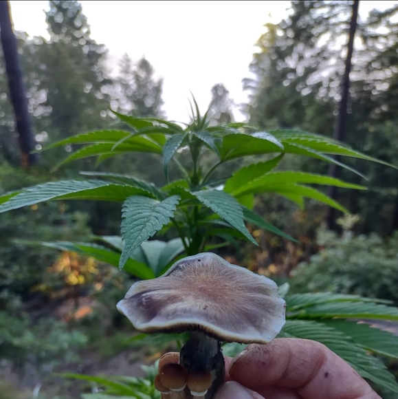 Meet your Posher, Thomas - Picture 14 of 16